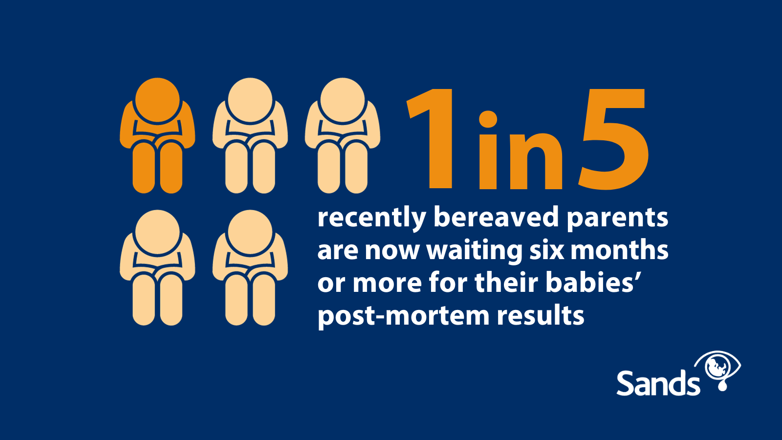 Image with text 1 in 5 recently bereaved parents are now waiting six months or more for their babies' post-mortem results